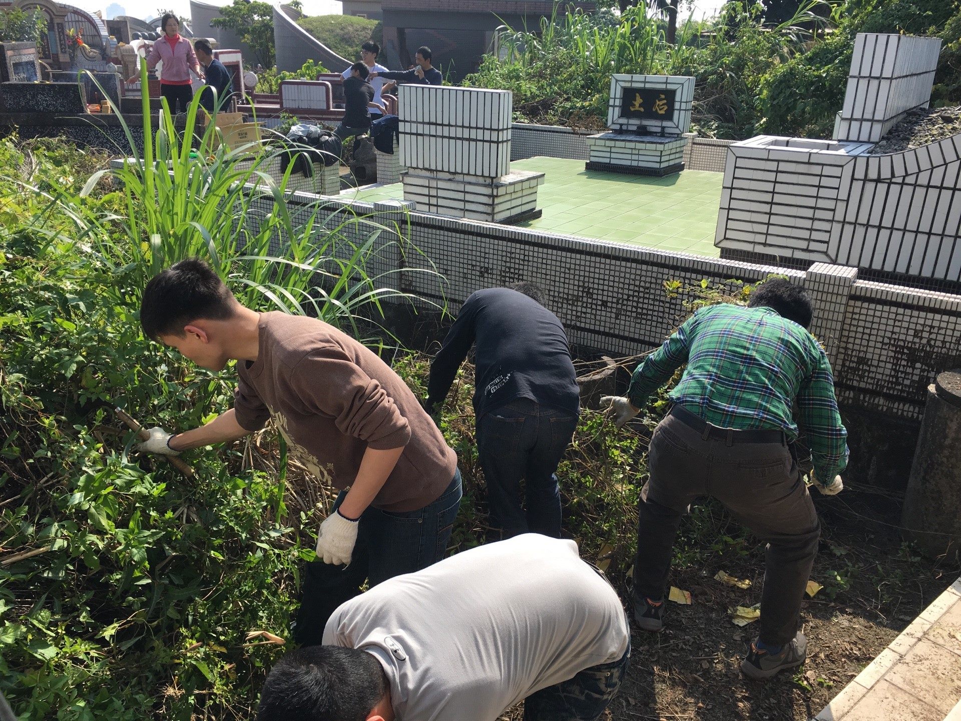 Tomb-sweeping Festival: Public Urged to Take Precautions against Scrub Typhus