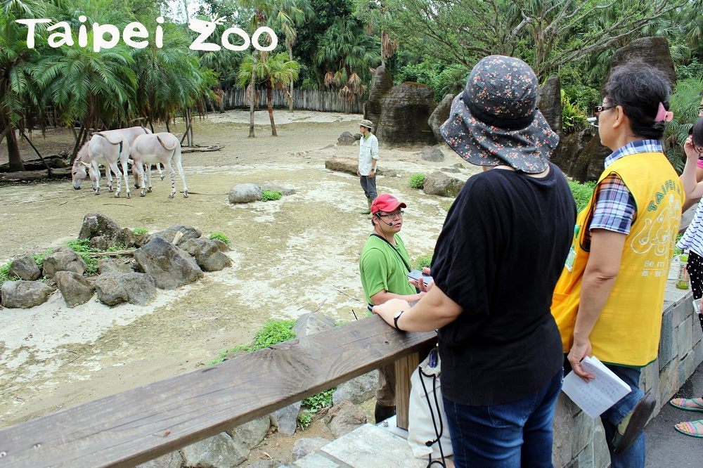 Taipei Zoo to Implement Extended Hours during Summer Weekends