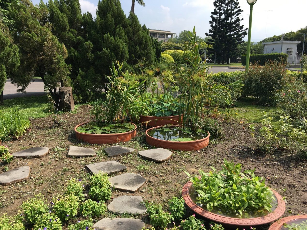 PSLO Sets up New Aquatic Plant Zone at Taipei Expo Park