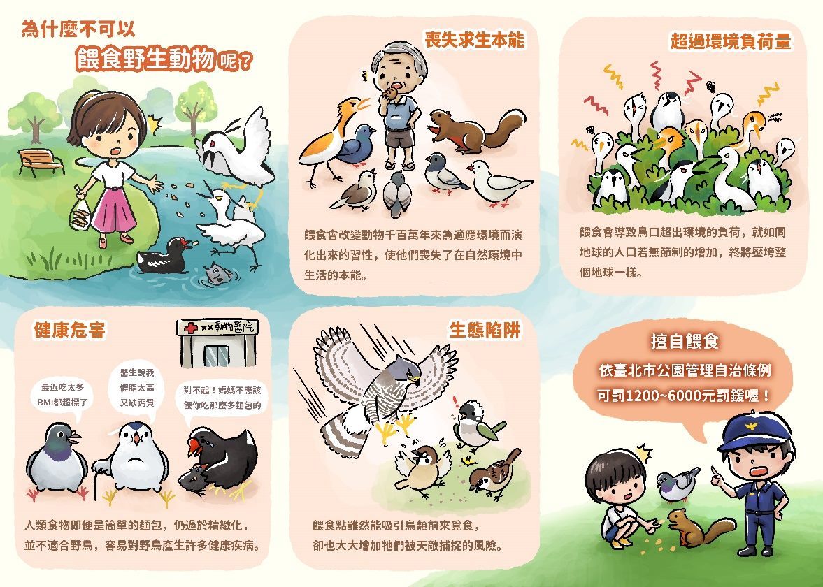 Flier promoting public awareness on avoid feeding wild birds