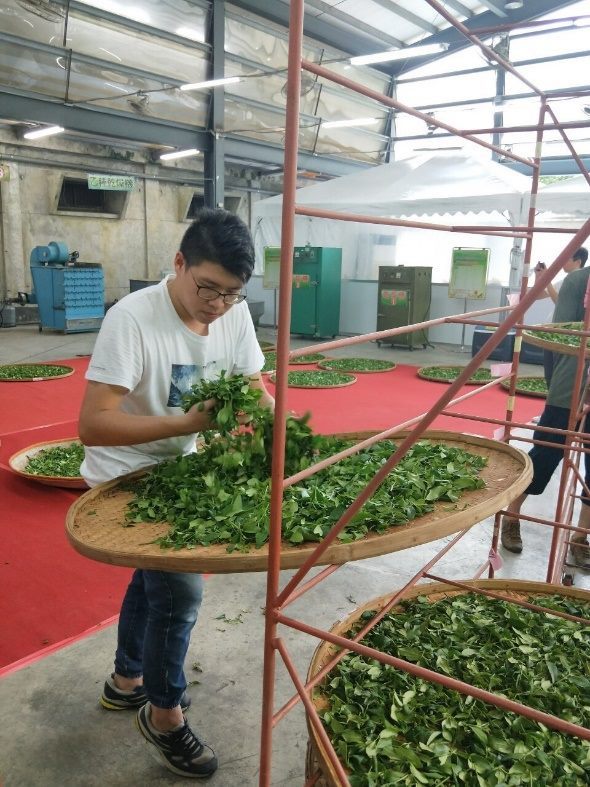 Outstanding young tea farmer Chang Chia-kai from Muzha