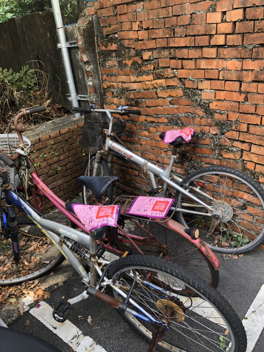 Abandoned bicycles in Taipei
