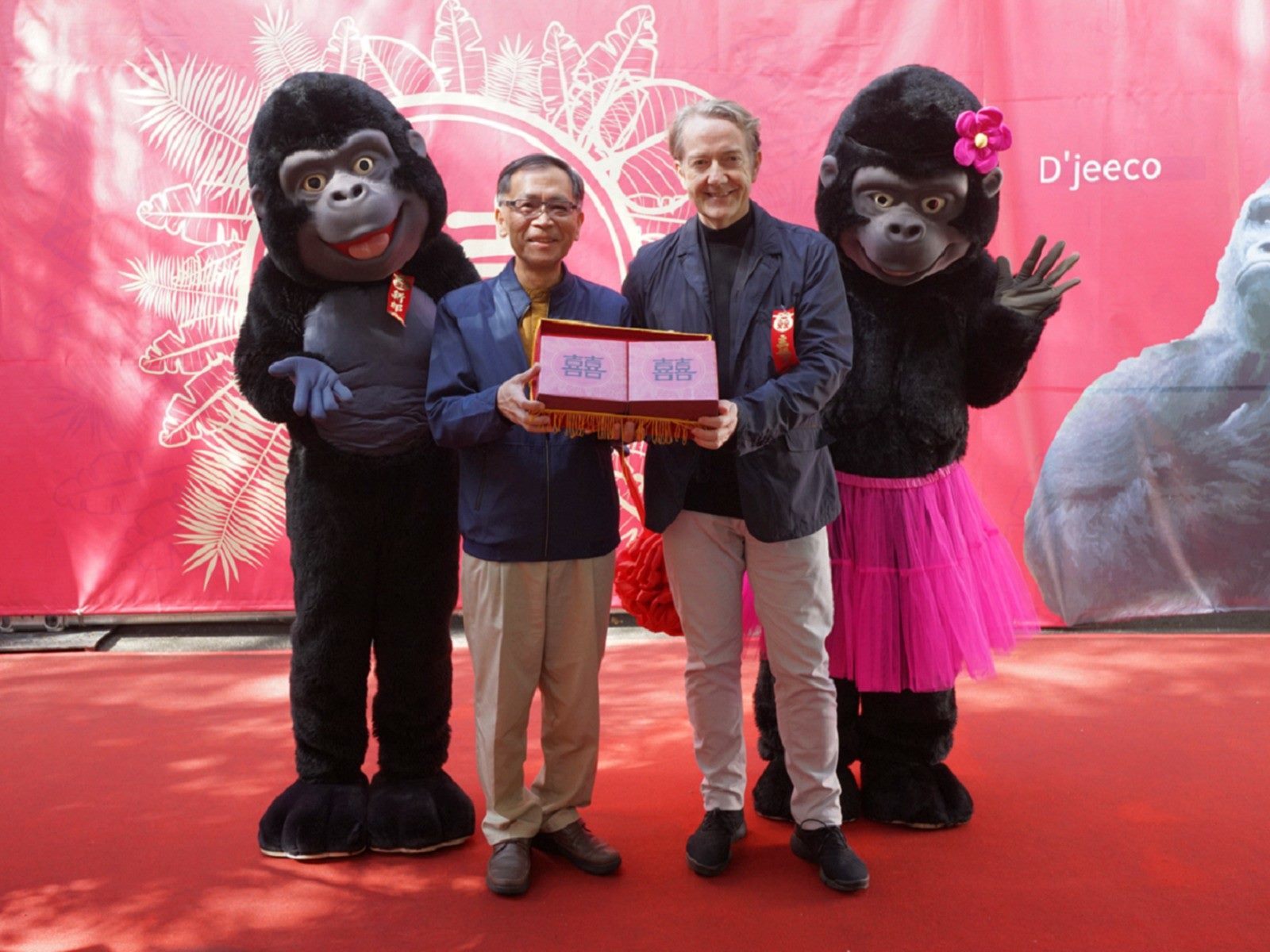 Taipei Zoo celebrates the arrival of new gorillas