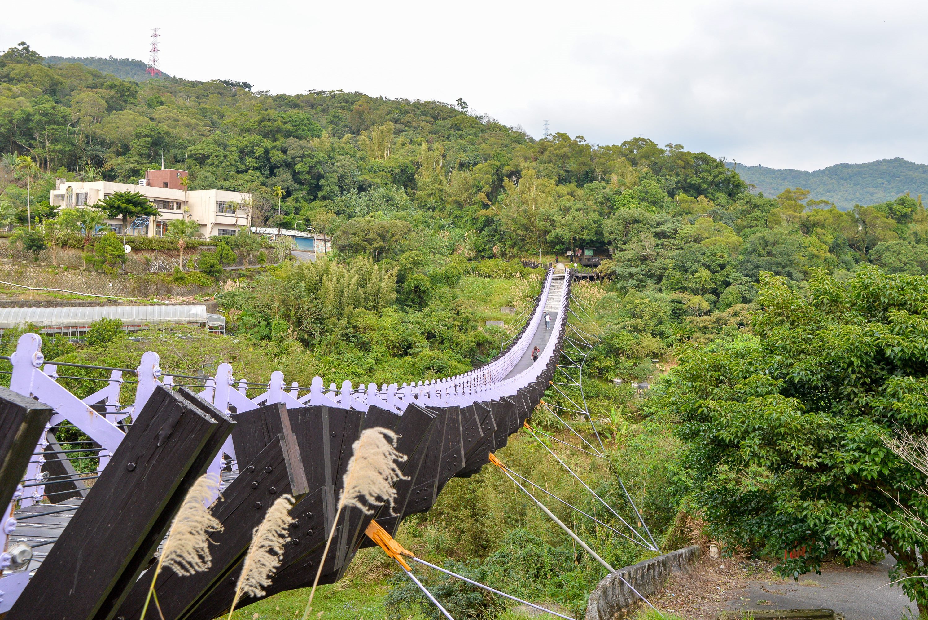The suspension bridge at Baishihu