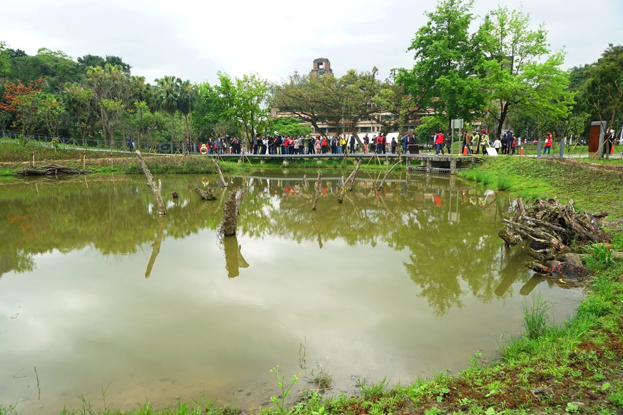City officials inspecting Yongchunpi Wetland Park