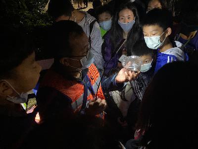 Participants listening to the guide explain firefly ecology