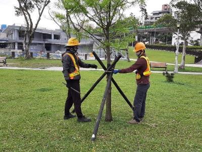 PSLO workers check support stakes for a park tree.