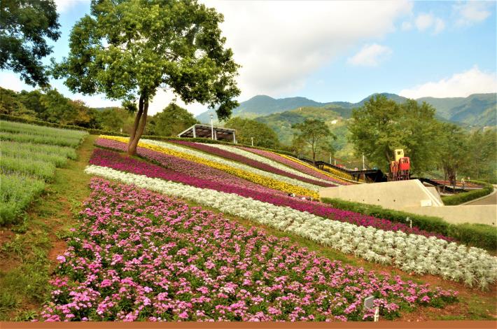 Flower field at Shan Tseng-chi Park