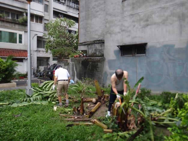 蘇迪勒颱風過後清掃延吉公園