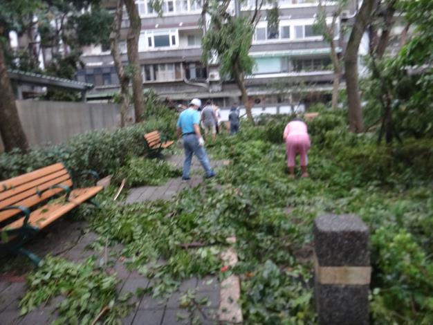 蘇迪勒颱風過後清掃延吉公園