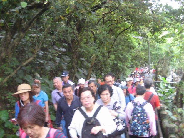 金泰里參加105年淨山活動花絮4