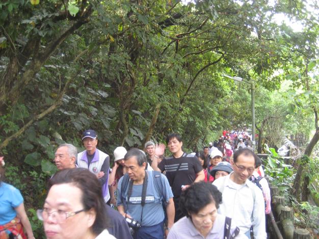 金泰里參加105年淨山活動花絮5