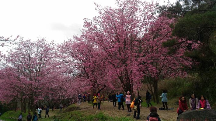 107年黎明里睦鄰互助活動