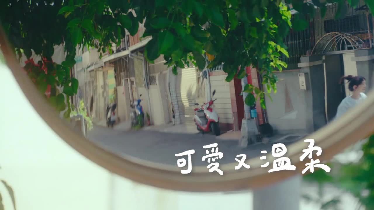 (四)停讓是最溫柔的守護