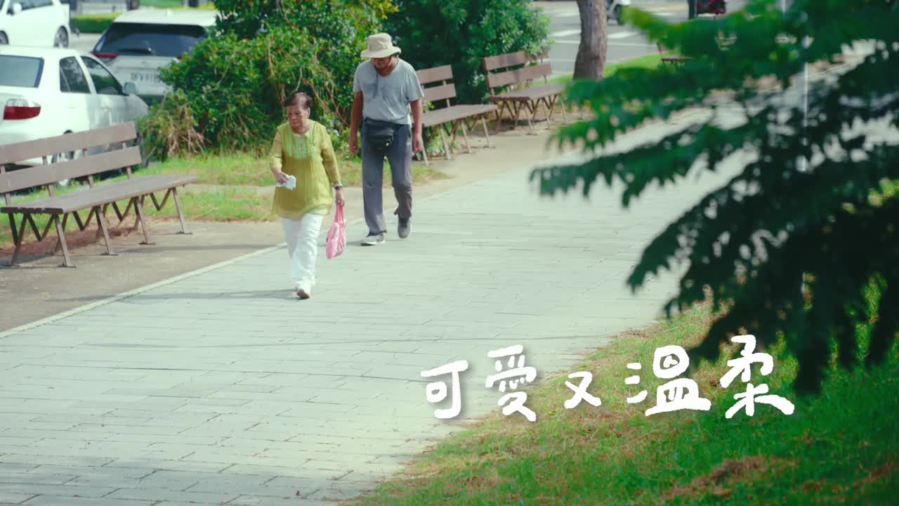 02-114年停讓是最溫柔的守護