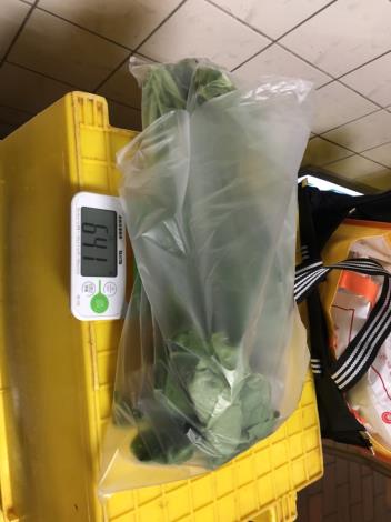 8-菠菜