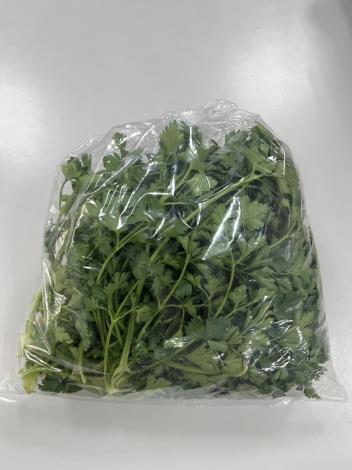 5-義大利芹菜-平葉巴西利-新鮮香草
