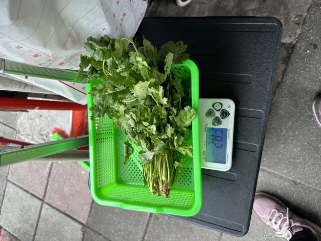 7-香菜.JPG
