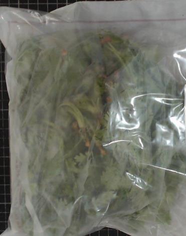 3-香菜