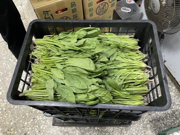 6-菠菜.JPG
