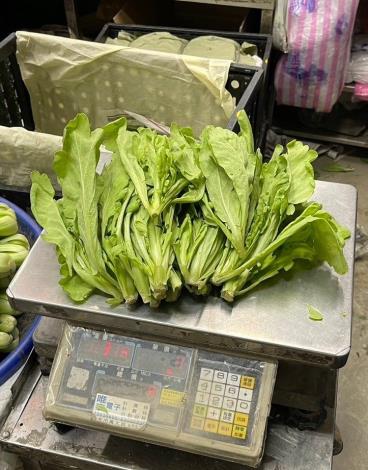 8-茼蒿