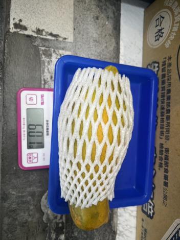 5-木瓜