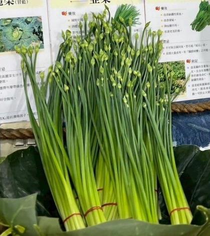 6-韭菜花