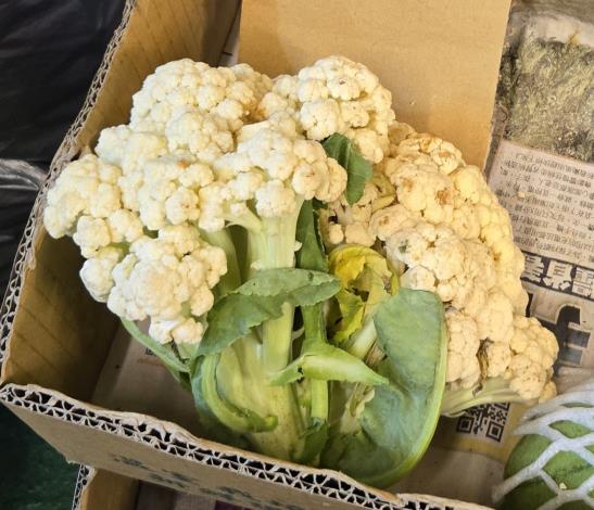 6-花椰菜