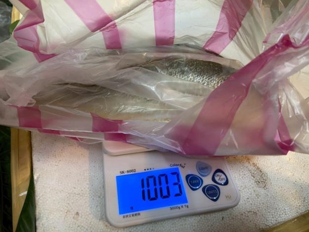 無市招魚攤-黃魚