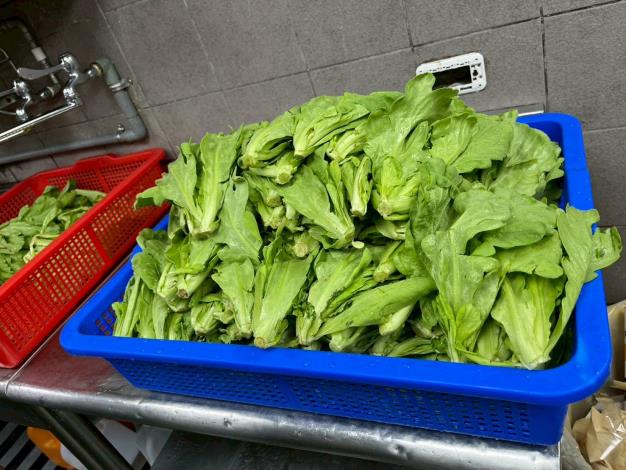 9-茼蒿