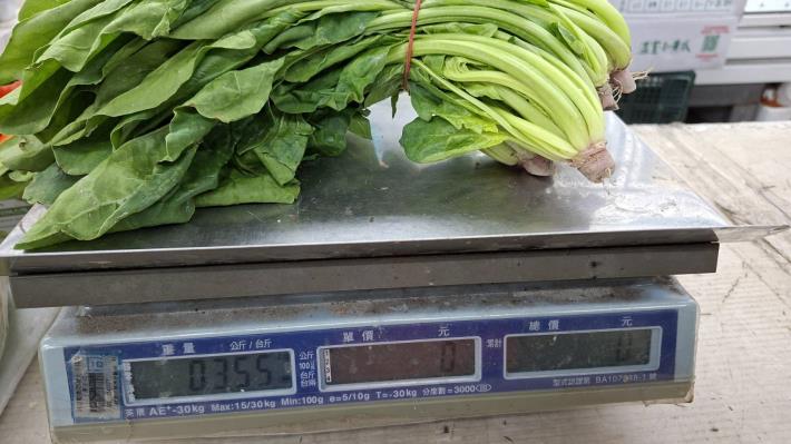 11-菠菜