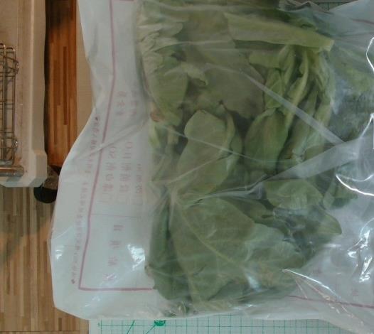 10-茼蒿