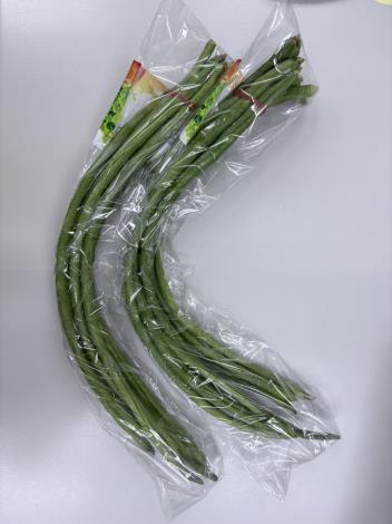 8-菜豆
