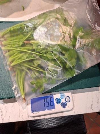 1-香菜