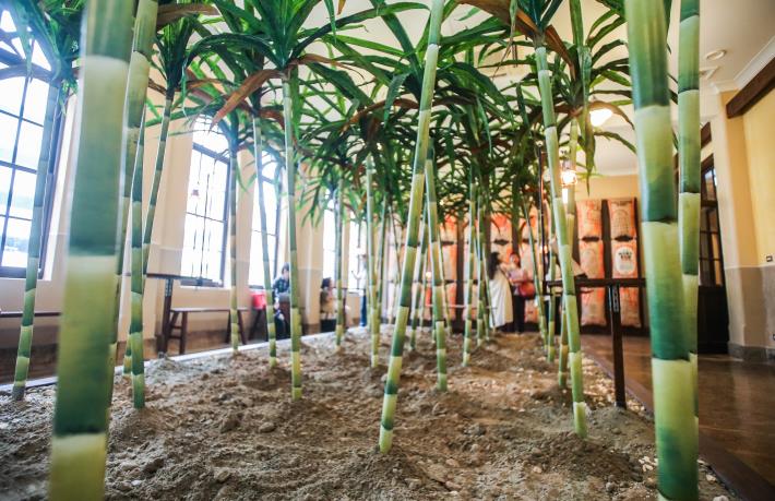 「全糖株式會社」蔗田造景