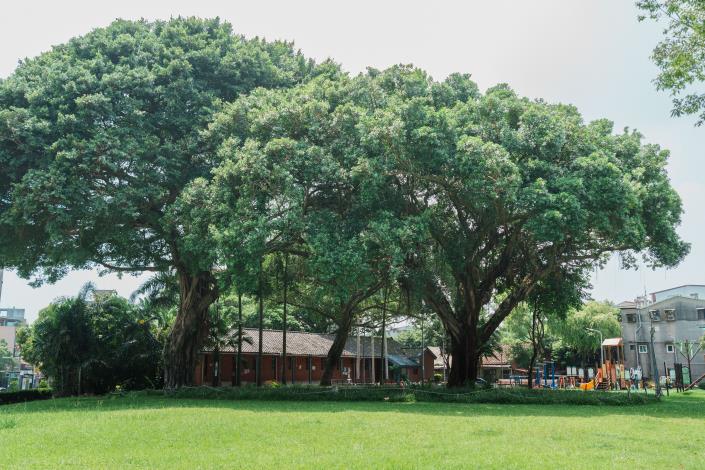 臺北文化小旅行文化點_和平青草園(仁濟療養院)