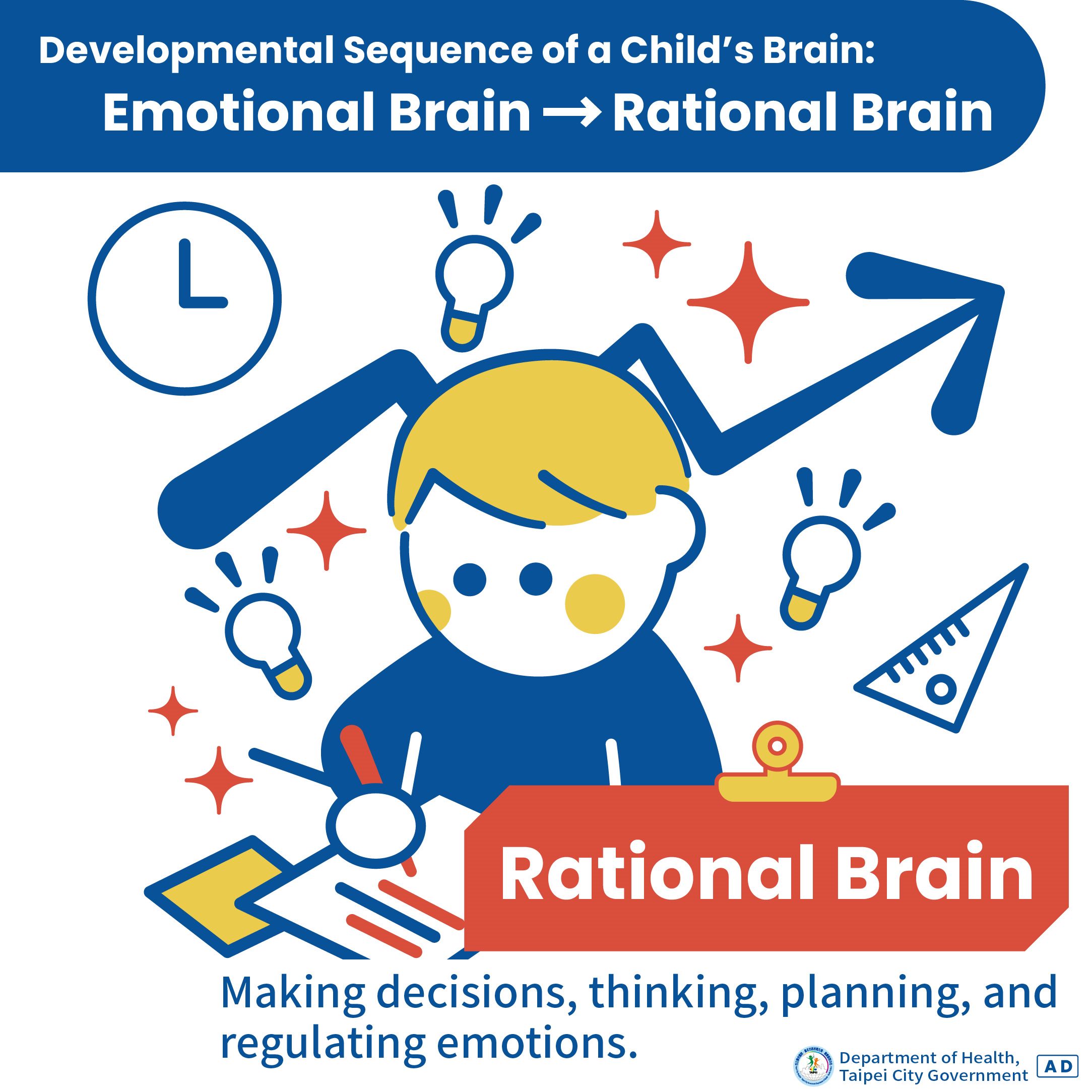 Rational Brain: Making decisions, thinking, planning, and regulating emotions.