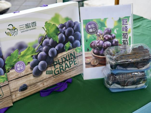 圖1.彰化葡萄.JPG