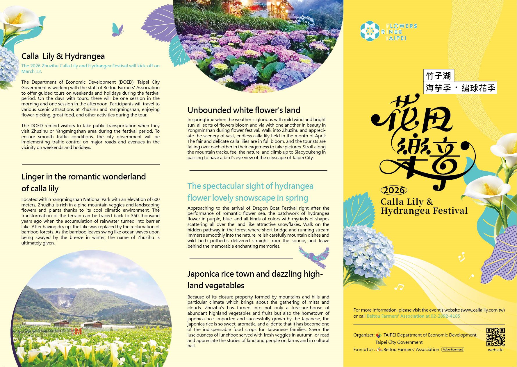 竹子湖海芋季繡球花季英文版