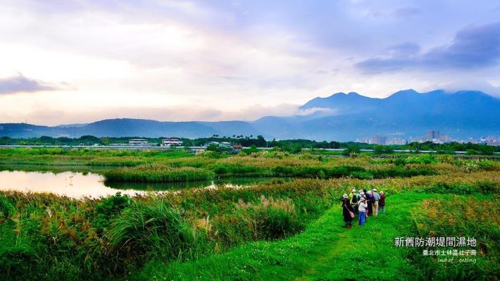 社子島濕地也是新春旅遊的好去處