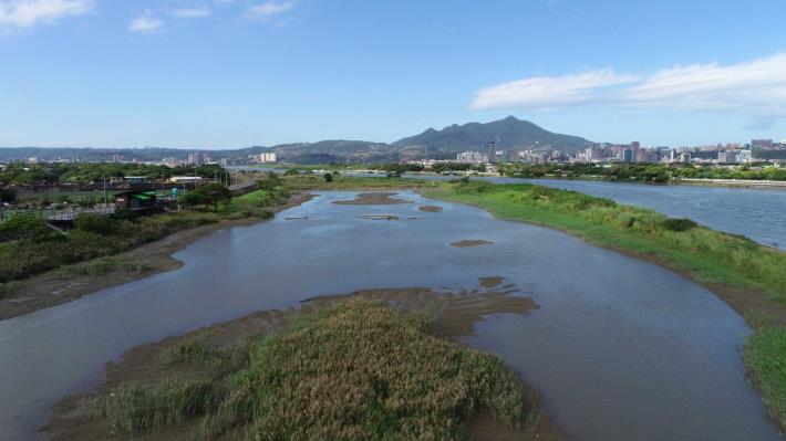 透過此次調整工程，顯示社子島濕地的經營管理方向正確值得期待。