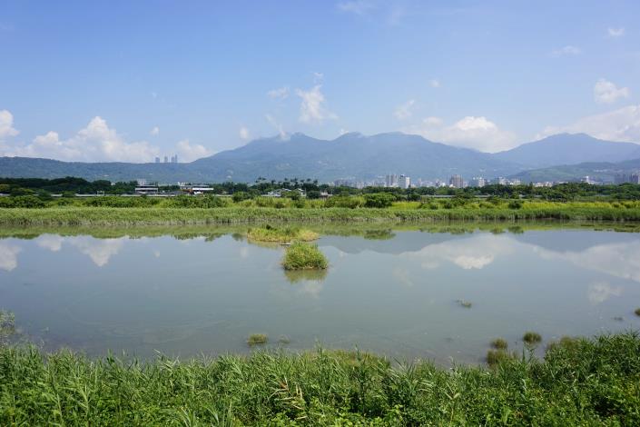 社子島濕地以濕地營造生態導覽為主題.JPG