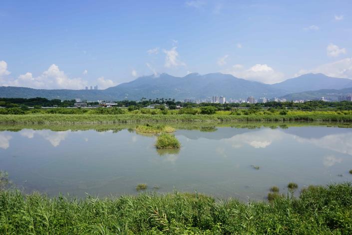 社子島濕地 是臺北市難得可貴的濕地生態