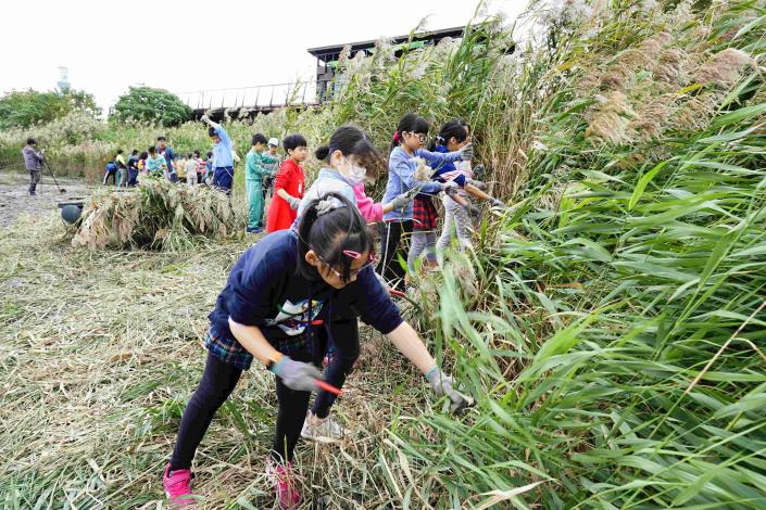 清除影響濕地生態的敵軍大作戰!