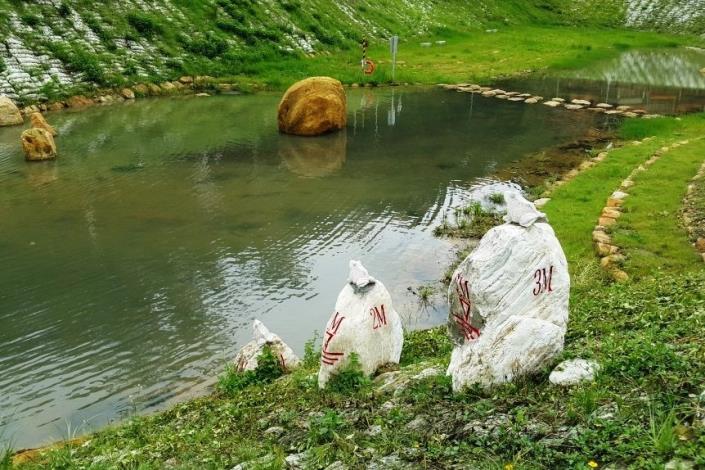 金瑞治水園區 周圍野溪活水源源注入 孕育豐富生態環境