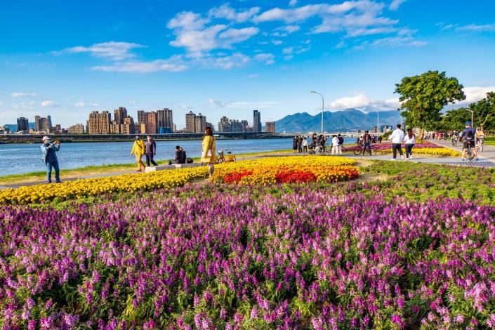 延平河濱公園花海完工至今，已經吸引許多遊客前來打卡拍照。