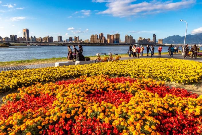 延平河濱公園大稻埕碼頭附近，7萬多盆草花已盛開