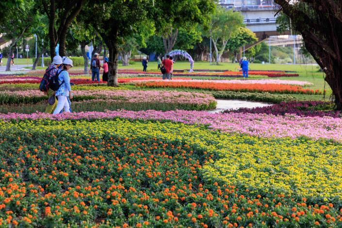 北市水利處在延平河濱公園營造萬盆花海，現在已到盛花期