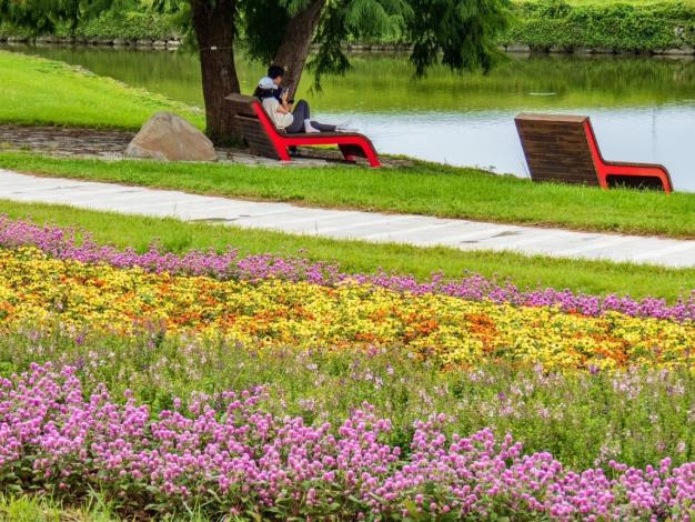 美堤河濱公園花海盛開