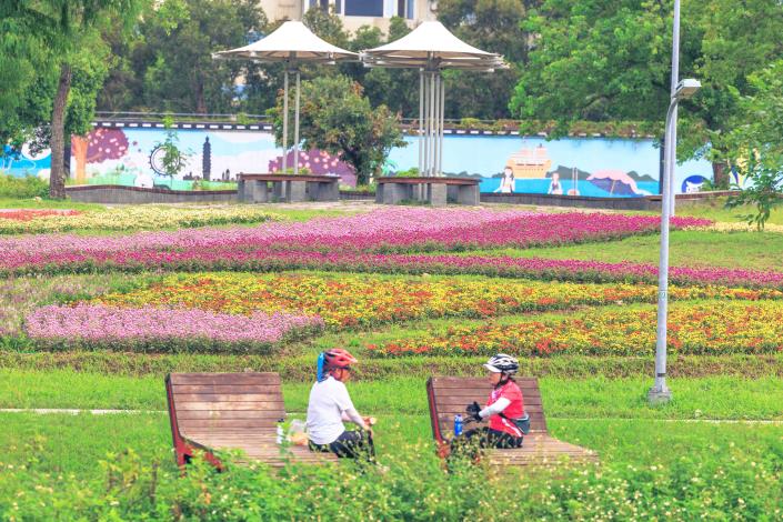 北市美堤河濱親水灣 旁 花海美麗盛開